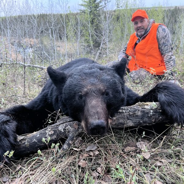 saskatchewan-black-bear-hunting-25