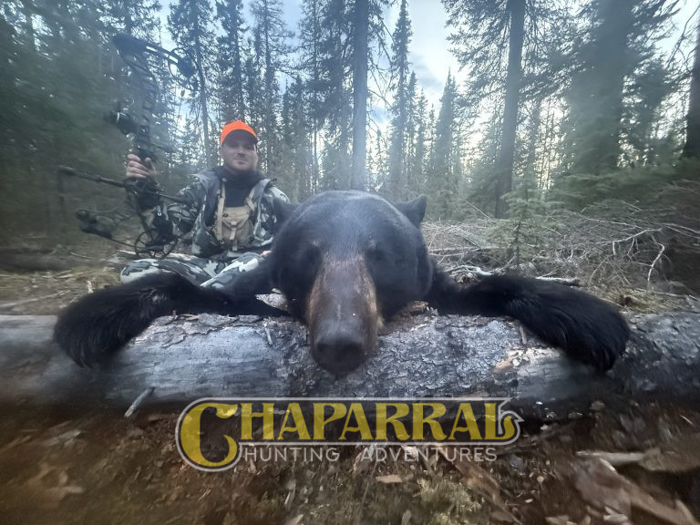 2026 Spring Bear Hunt Week III