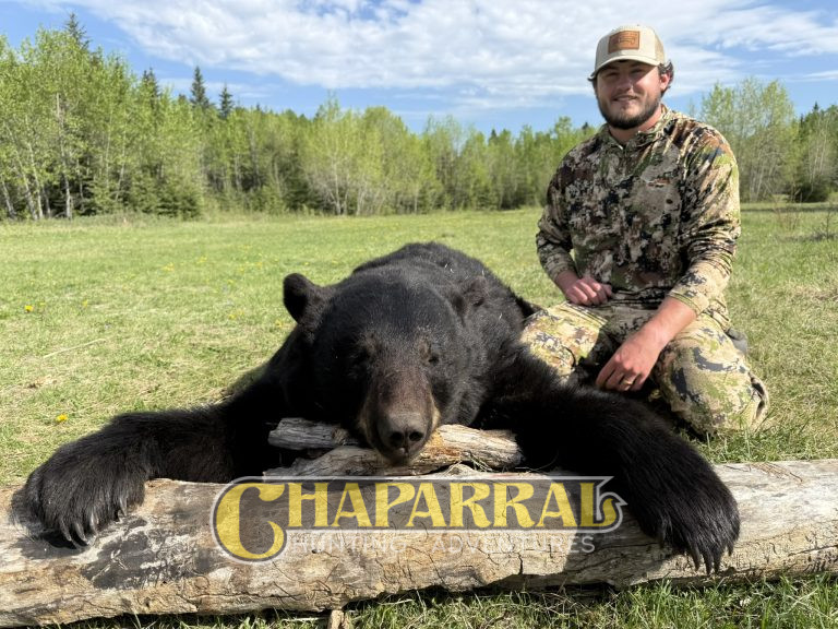 2026 Spring Bear Hunt Week IV