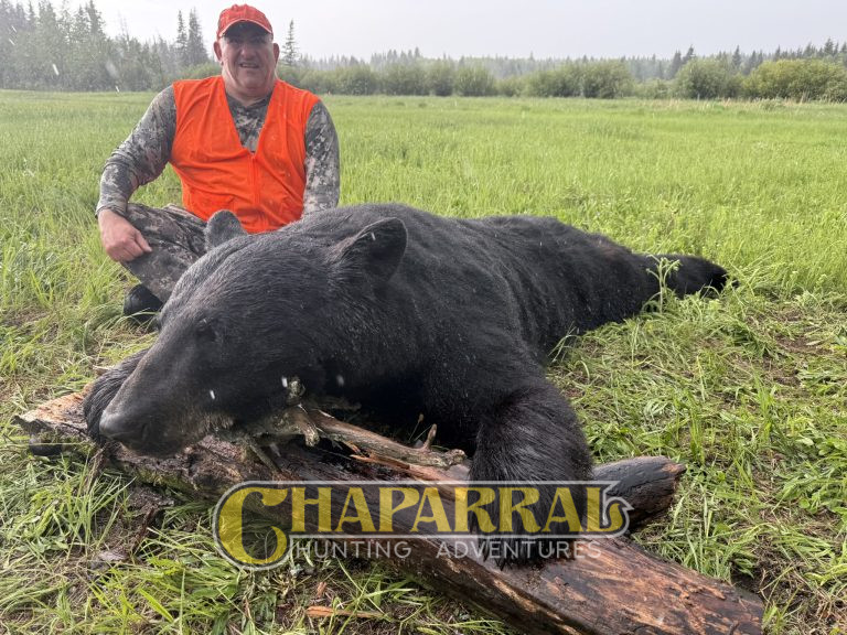 2026 Spring Bear Hunt Week V