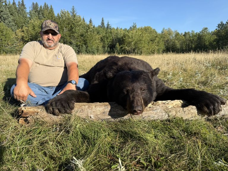 Fall Black Bear Week II