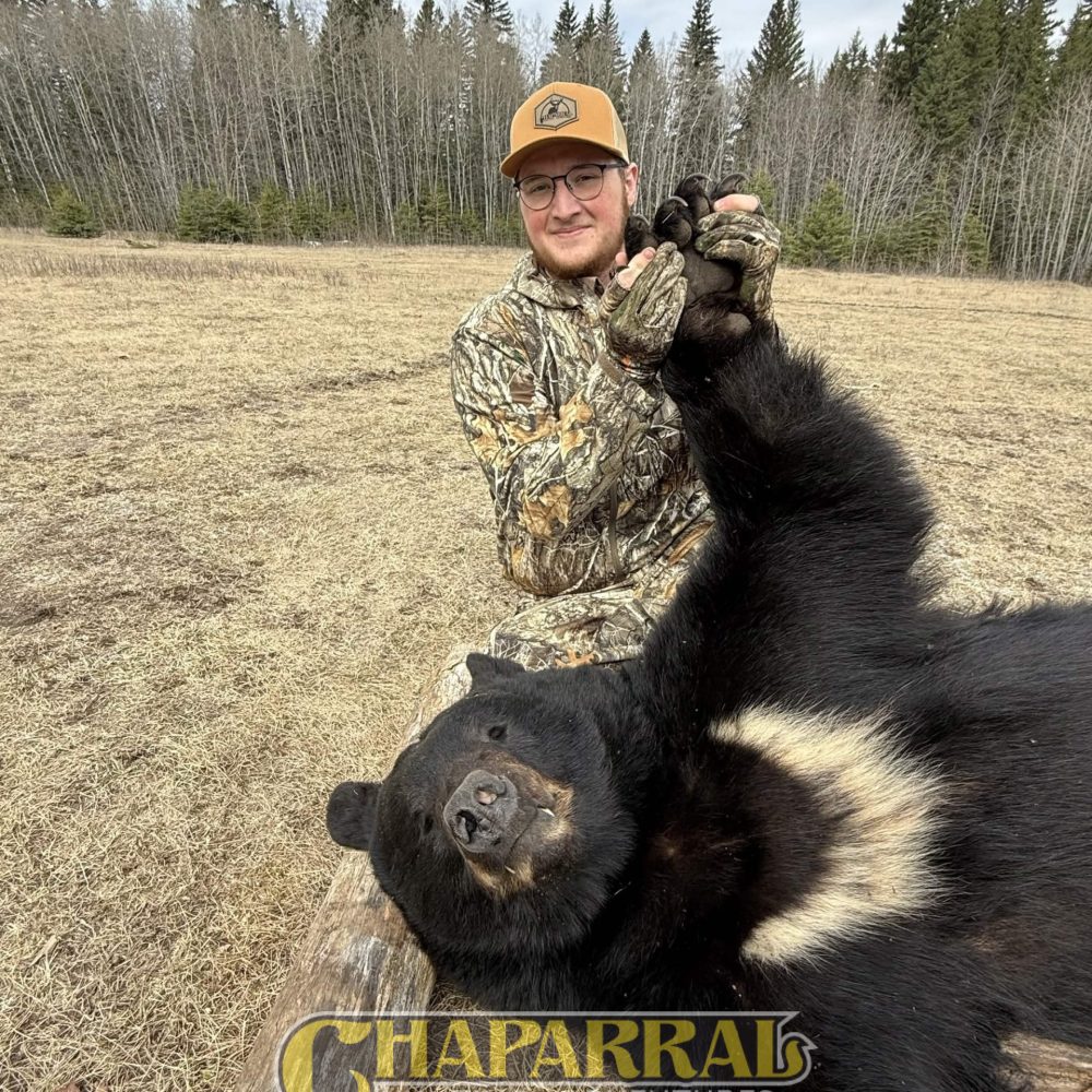 2026_CHA_blackbear_003
