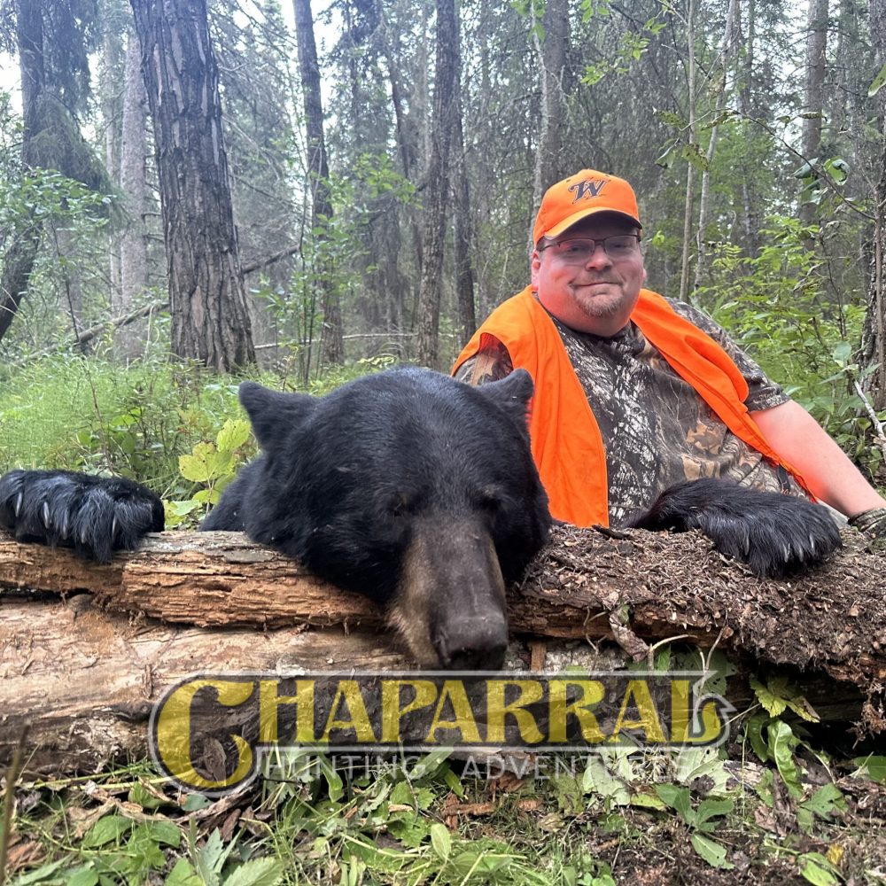 chaparral_2024_bear_1