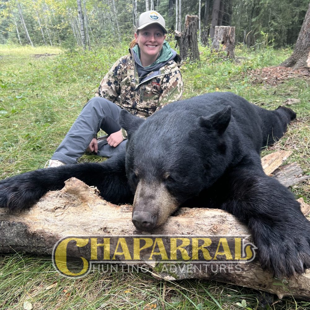chaparral_2024_bear_3