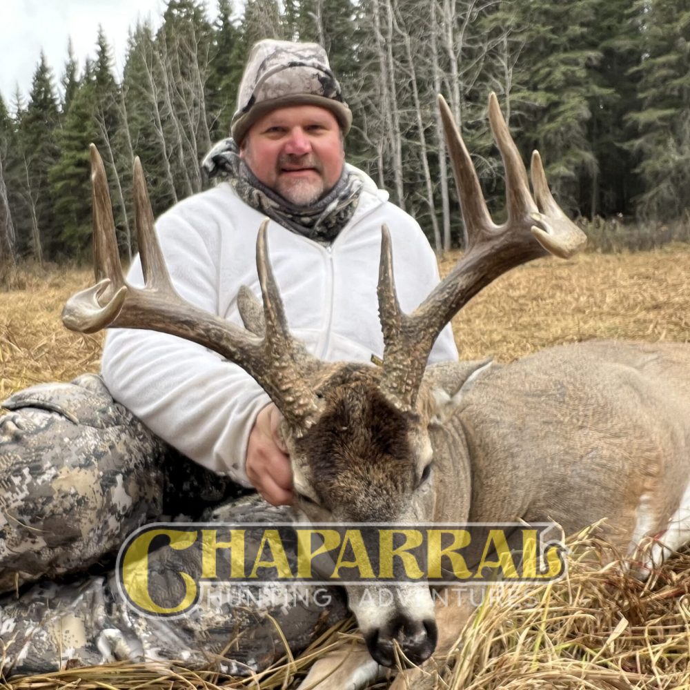 chaparral_2024_whitetail_2