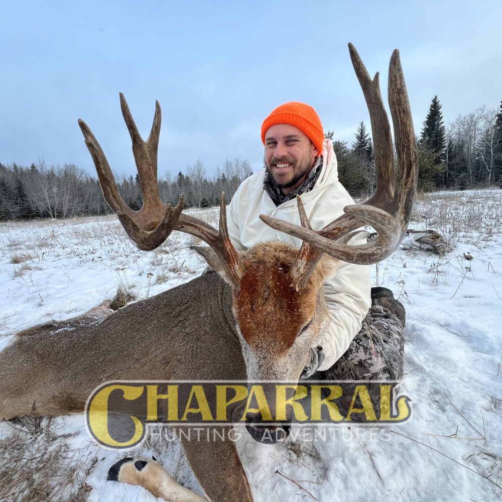 chaparral_2024_whitetail_5