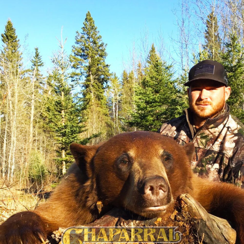 saskatchewan-black-bear-hunting-16