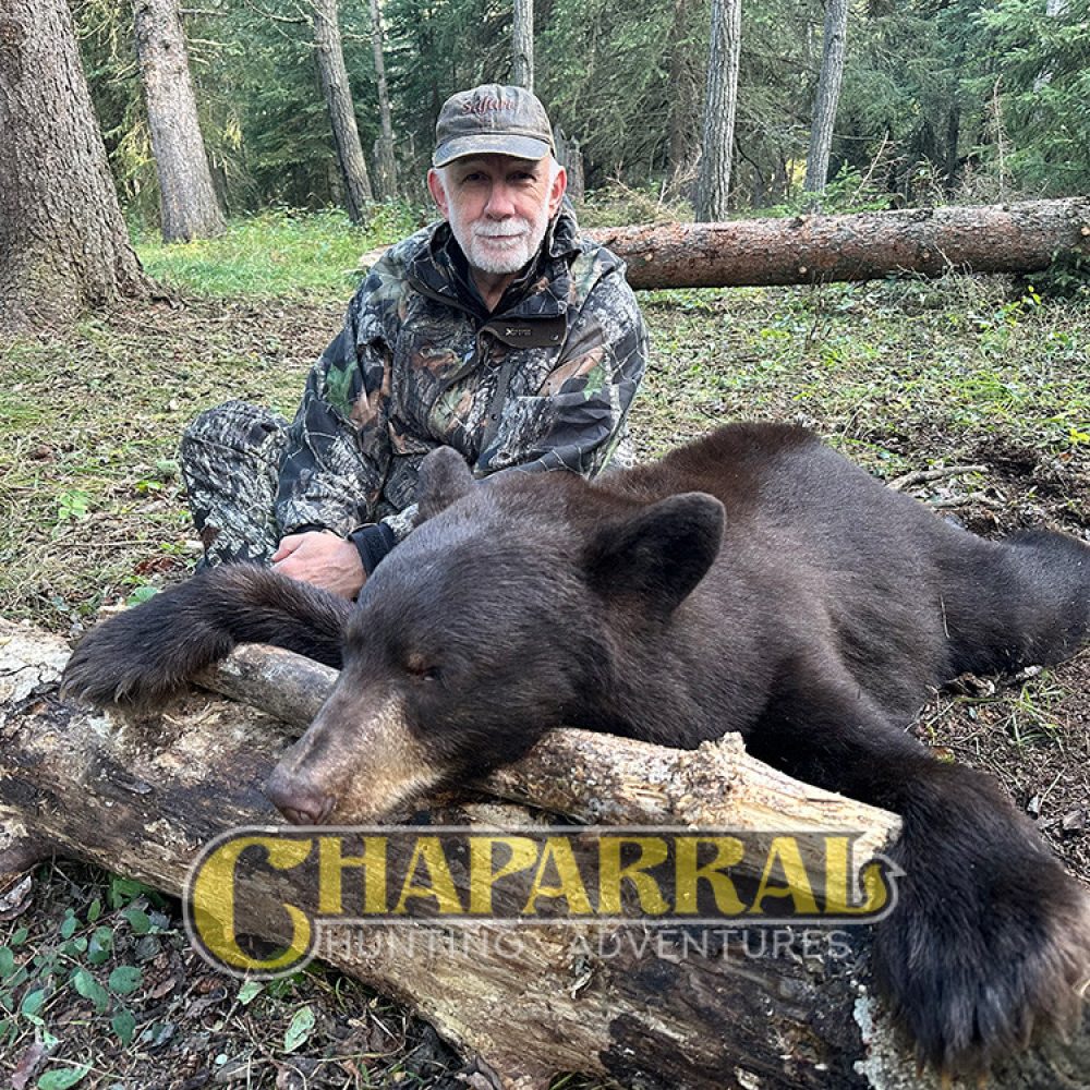 saskatchewan-bear-hunts-S12