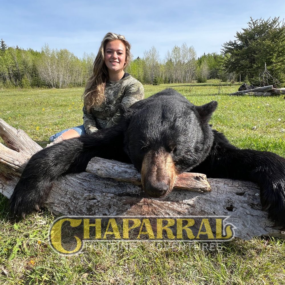 saskatchewan-bear-hunts-S9