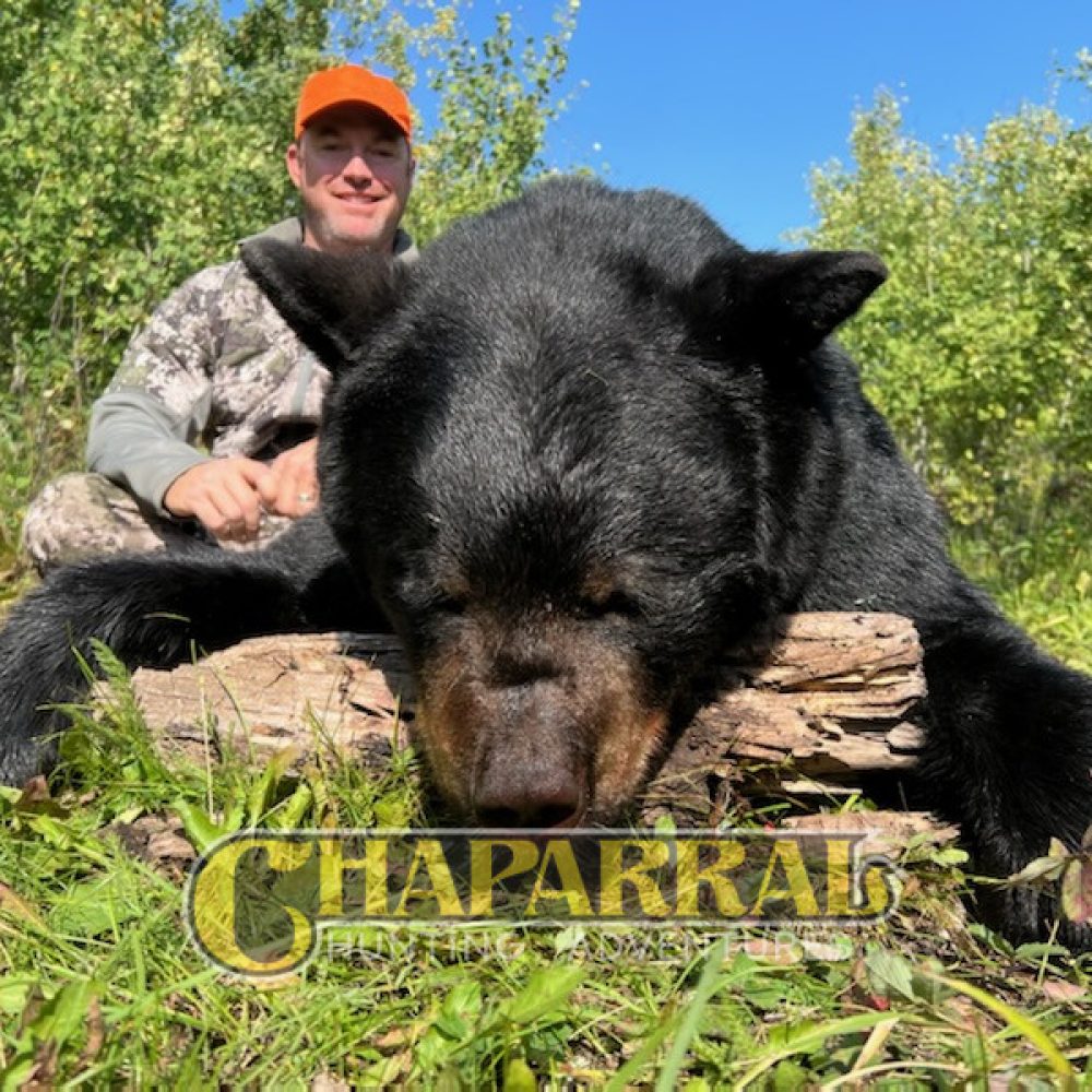 saskatchewan-black-bear-hunting-20