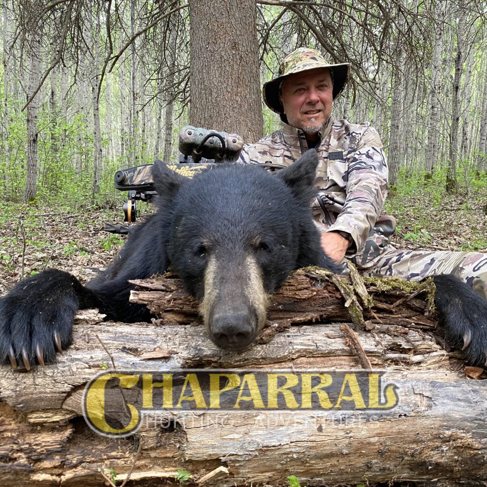 saskatchewan-black-bear-hunting-39-Bill-Falcon